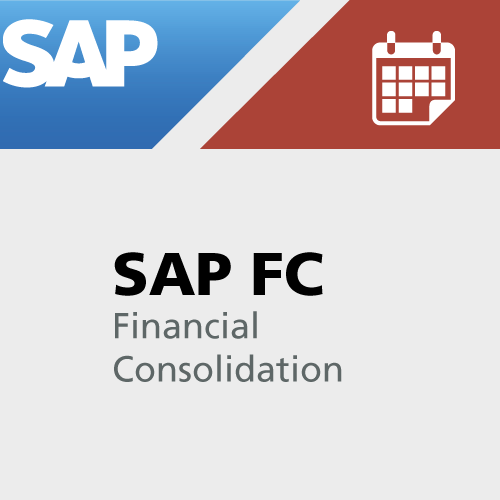 SAP Financial Consolidation - Caleo